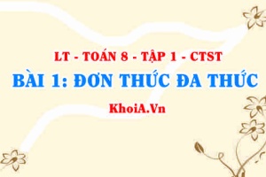 Đơn thức và đa thức là gì? Đơn thức, Đa thức thu gọn là gì? Cách cộng trừ đơn thức đồng dạng? Toán 8 bài 1 ct1c1b1